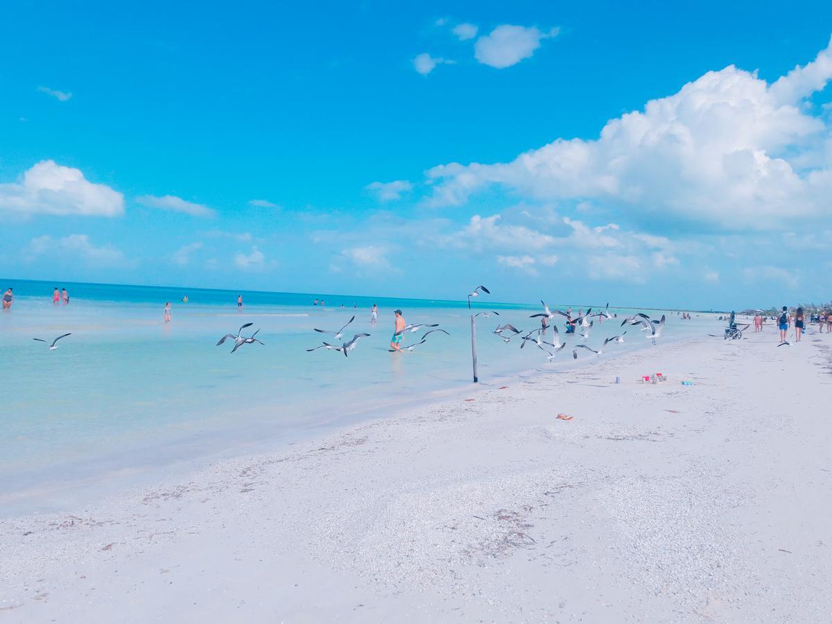 Hostel La Isla Holbox Exterior photo